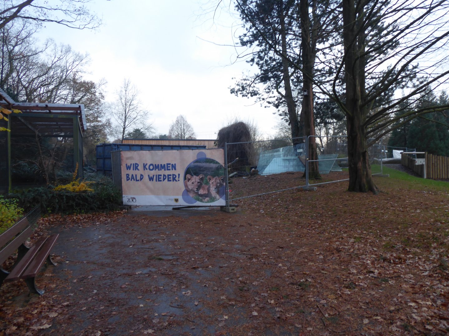 Development work 021219