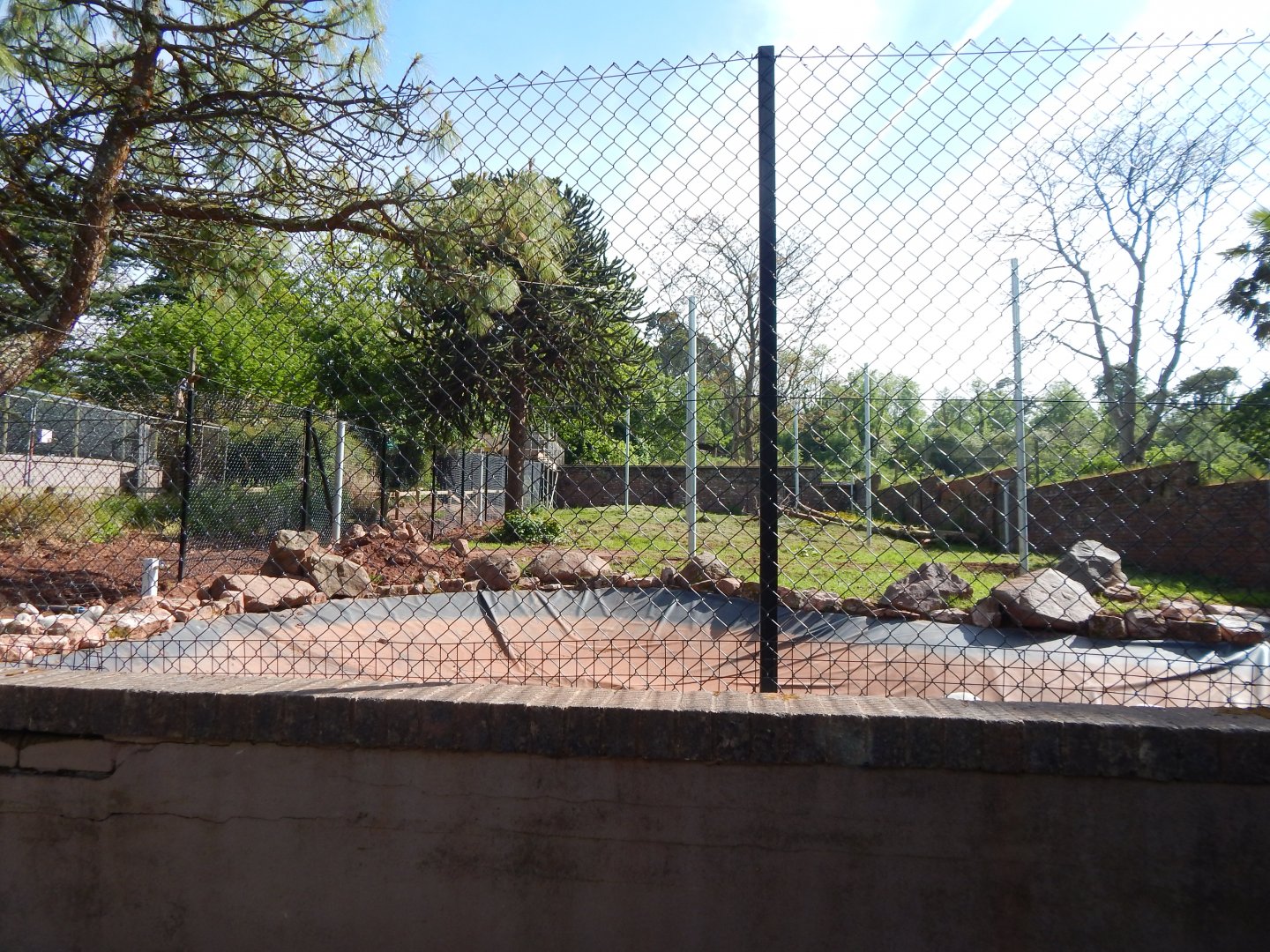 Developments around former South American tapir exhibit 170524