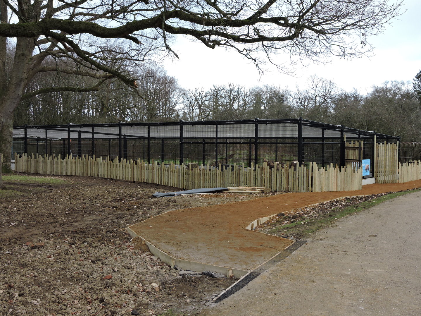 Developments at the bear enclosure