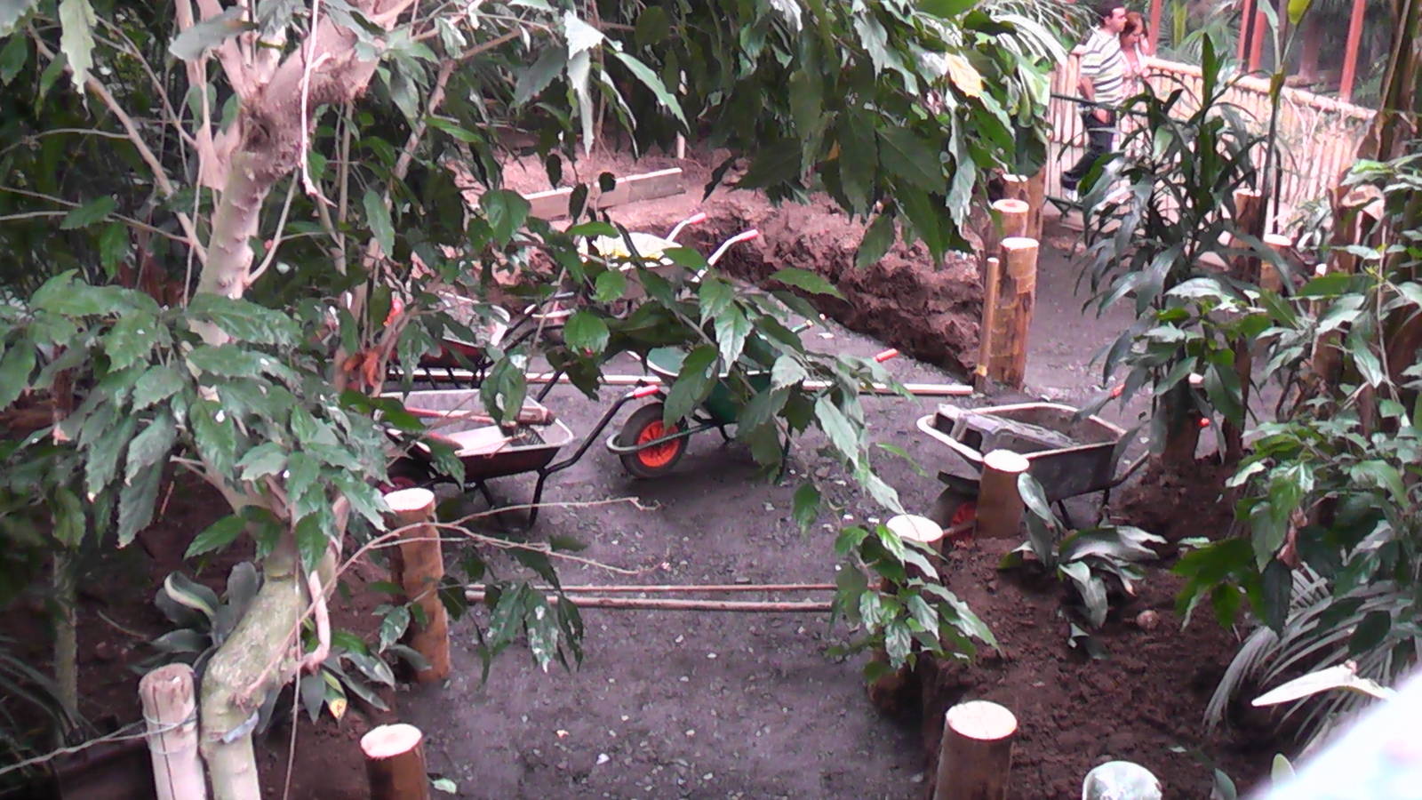 Developments in the Tropical Realm 19.6.10