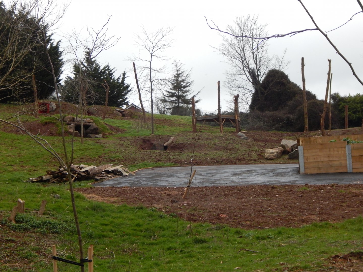 Developments on future Hamadryas baboon enclosure 050224