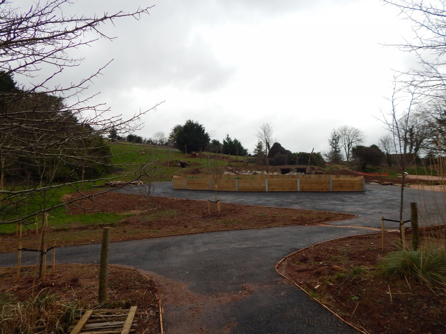 Developments on future Hamadryas baboon enclosure 050224