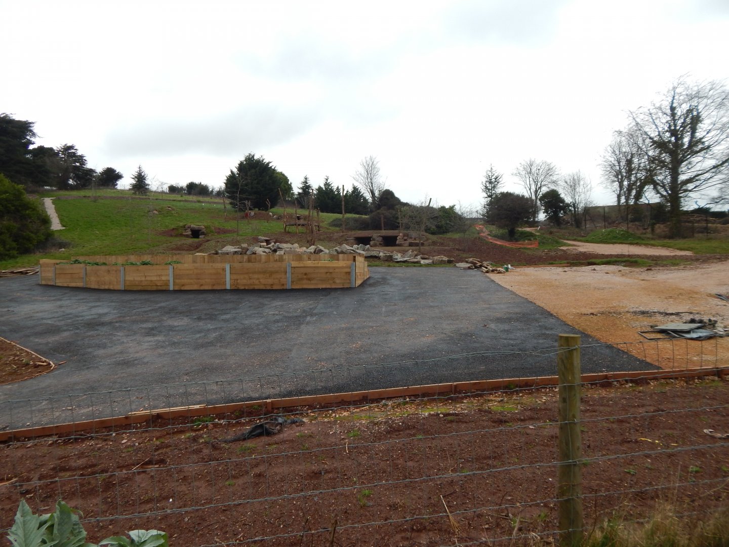 Developments on future Hamadryas baboon enclosure 050224