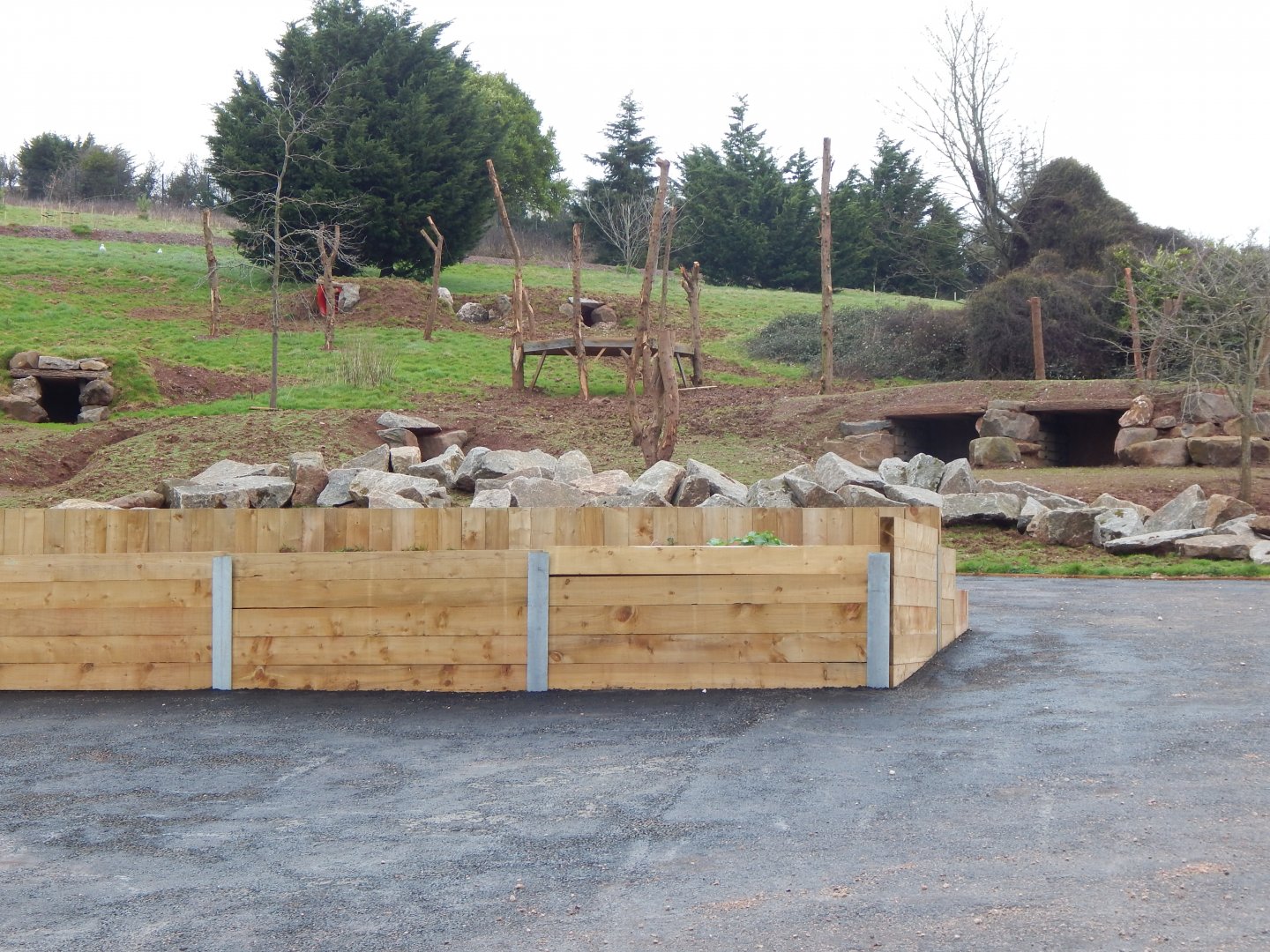 Developments on future Hamadryas baboon enclosure 050224