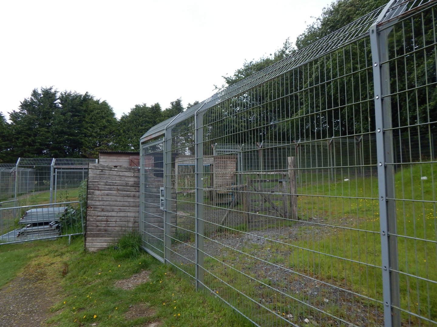 Developments on future Spotted hyena enclosure 050625