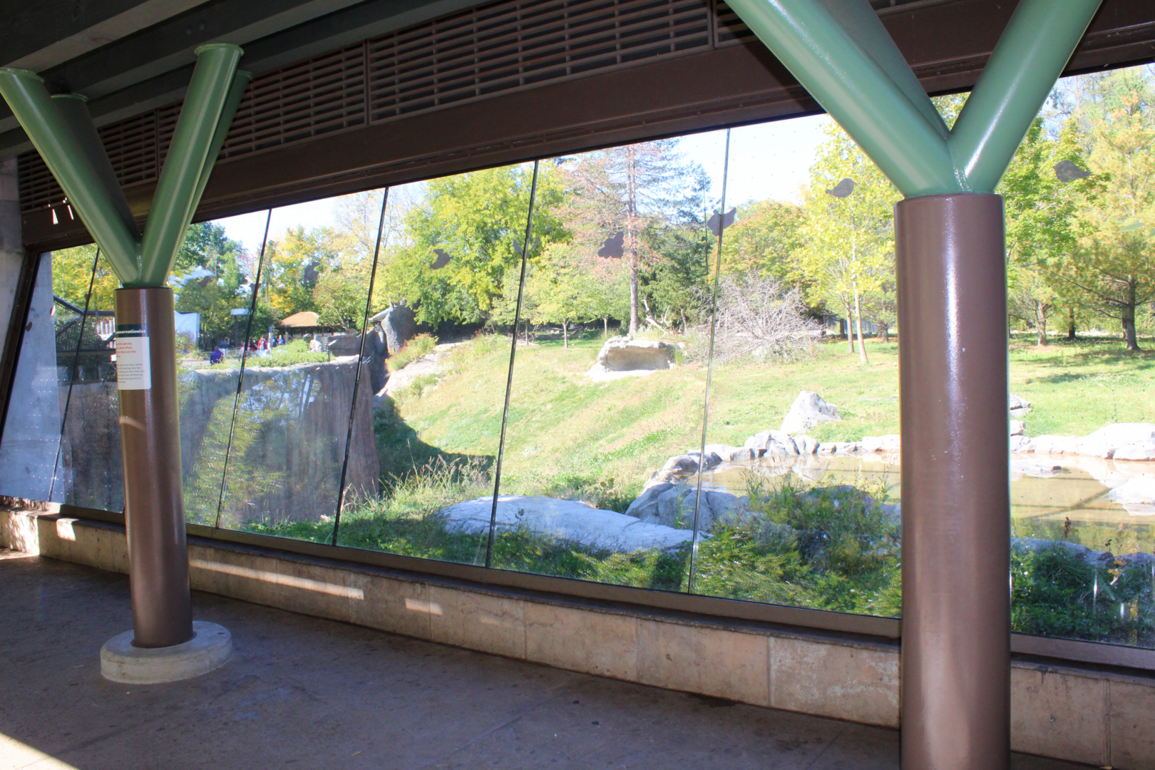 Devereaux Tiger Forest