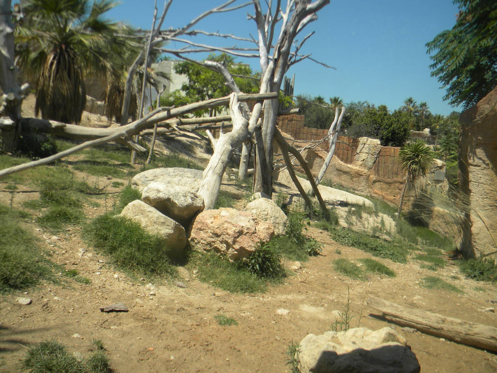 Dhole and Siamang enclosure at Terra Natura 29/07/11