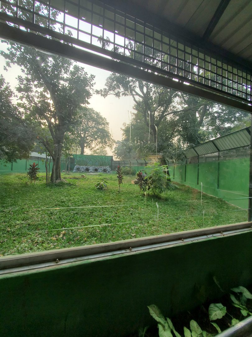 Dhole Exhibit - January 2023