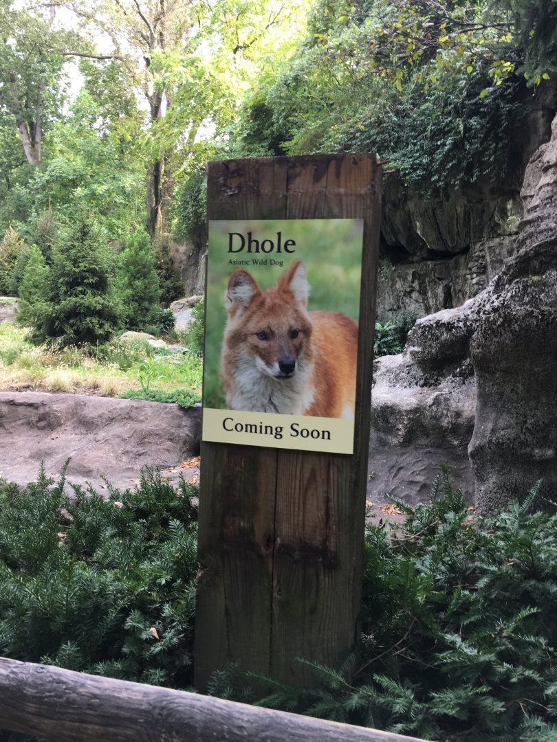 Dhole Sign