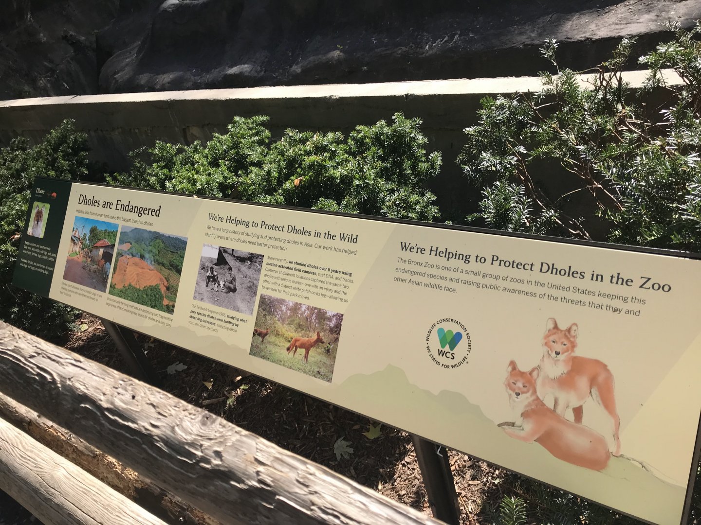 Dhole signage