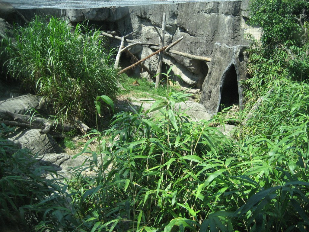 Dhole / Sunbear Enclosure