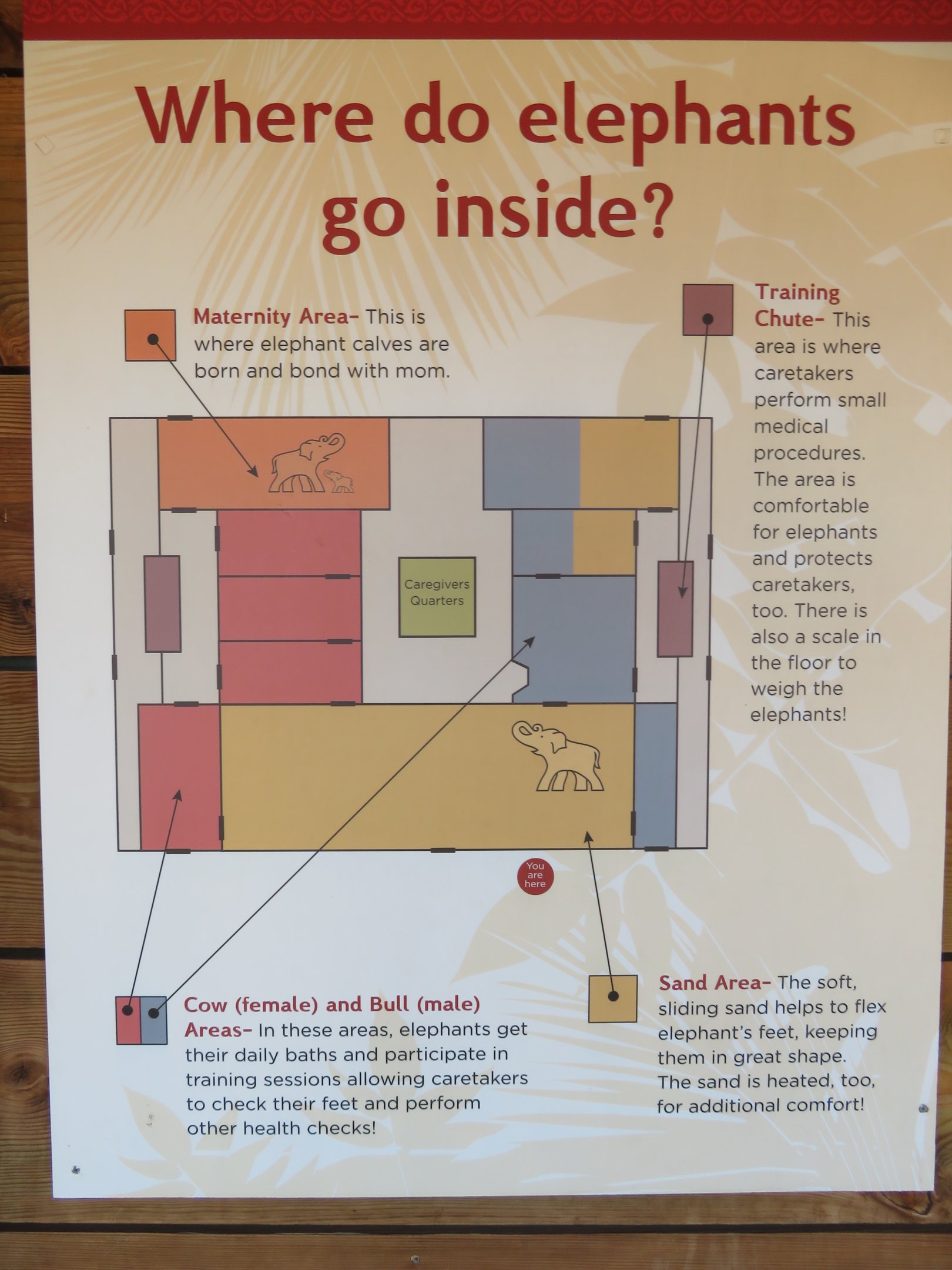 Diagram of Elephant House