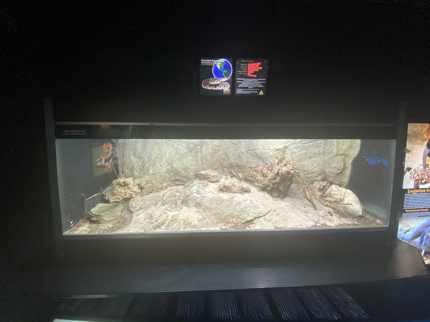 Diamond back rattle snake exhibit