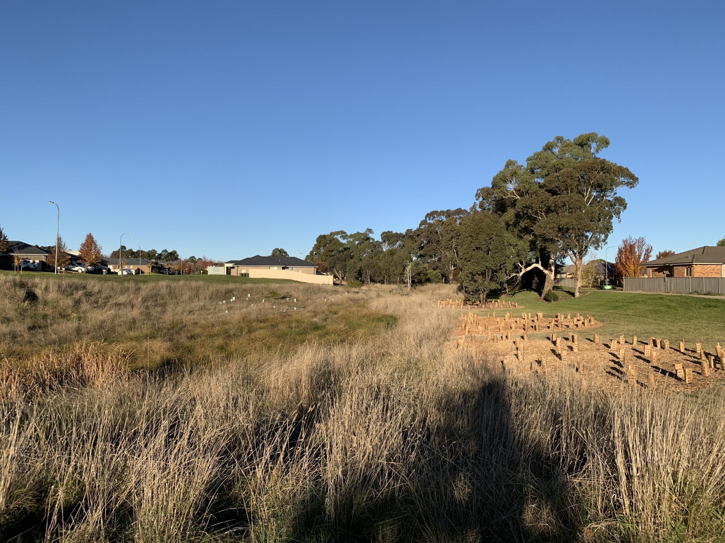 Diamond Drive Reserve