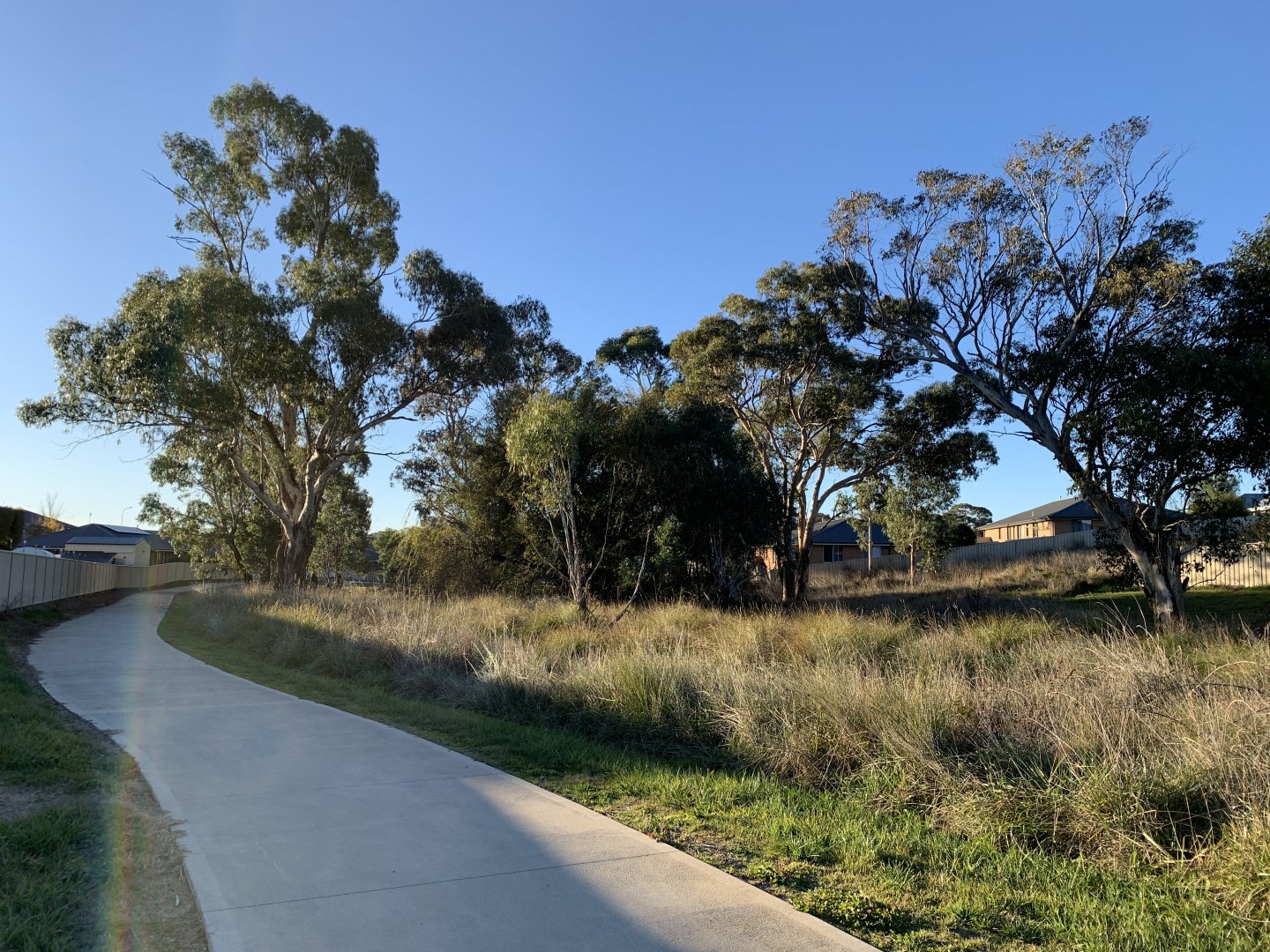 Diamond Drive Reserve