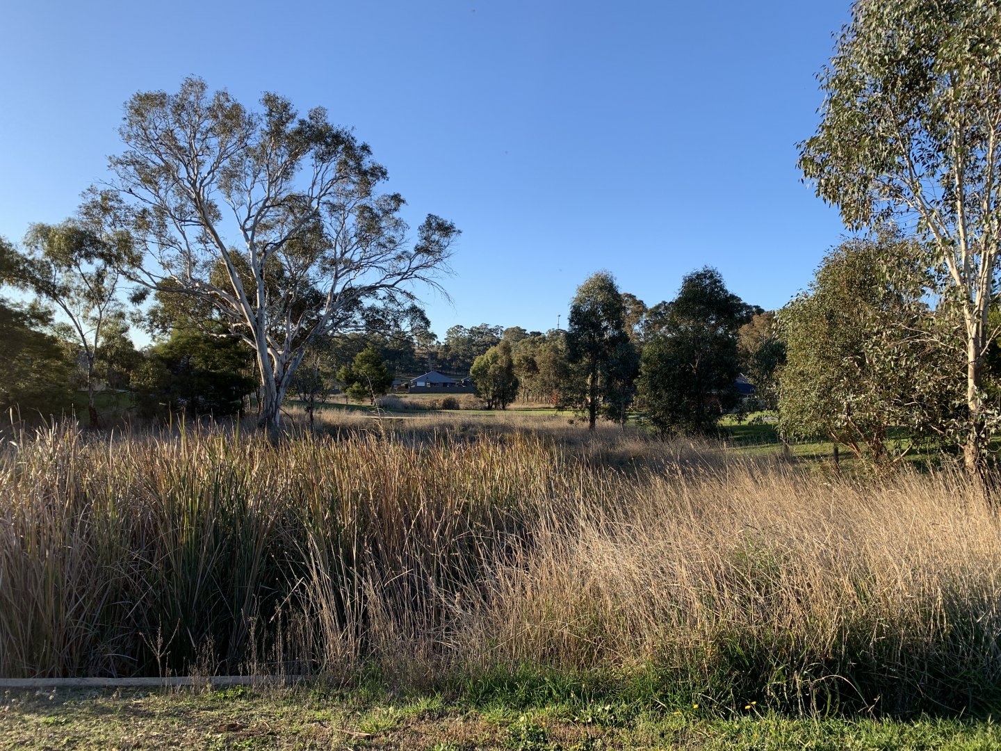 Diamond Drive Reserve