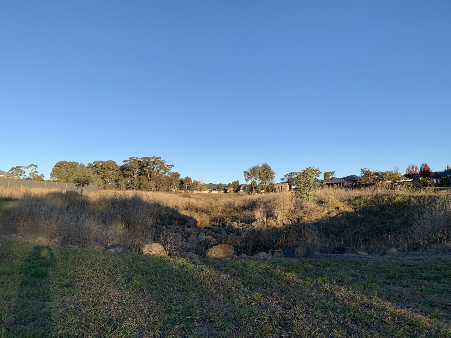 Diamond Drive Reserve