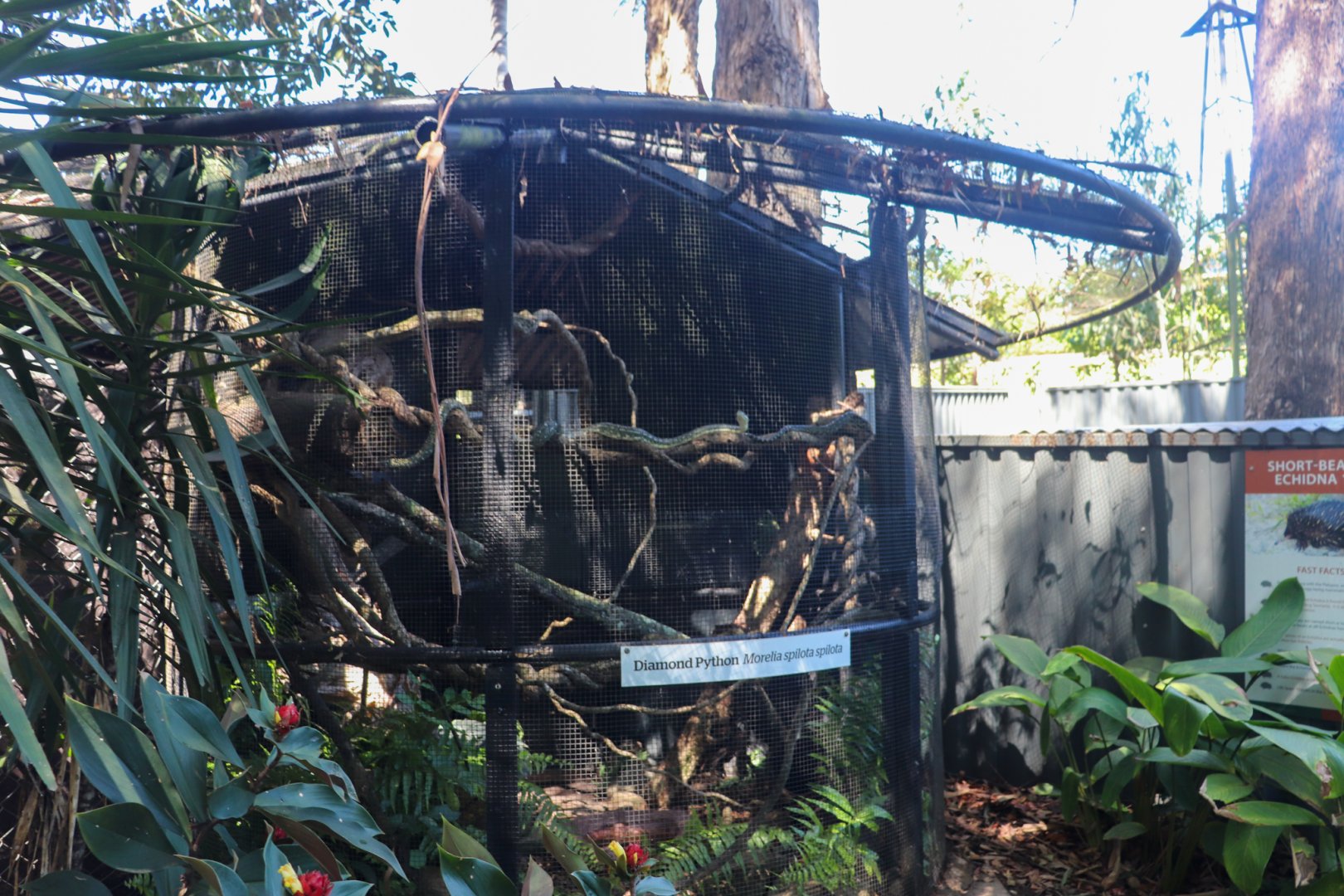 Diamond Python Enclosure