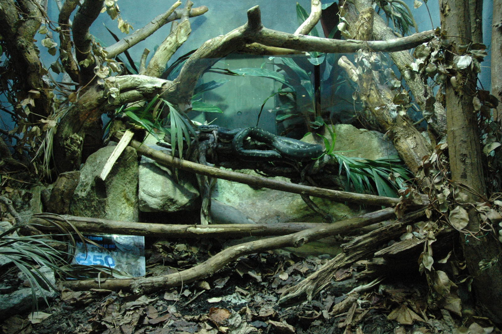 Diamond Python Enclosure