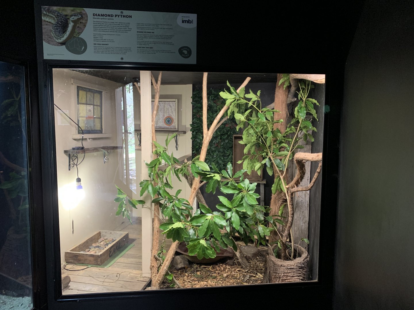 Diamond Python Exhibit (Potoroo Palace)