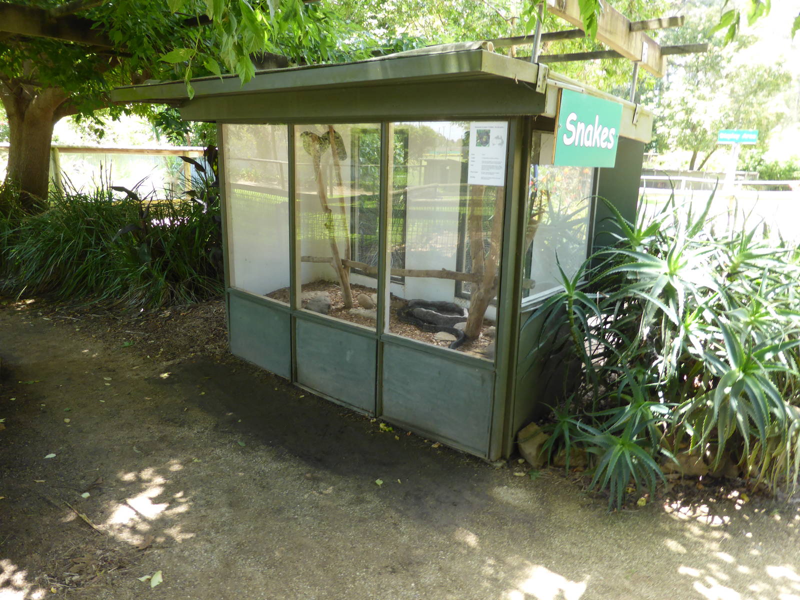 Diamond Python exhibit