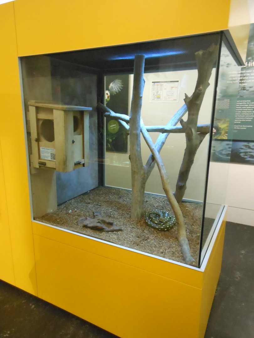 Diamond Python exhibit