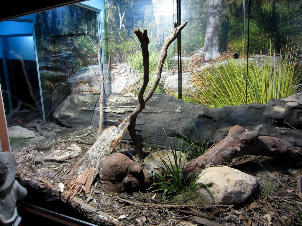 Diamond Python exhibit