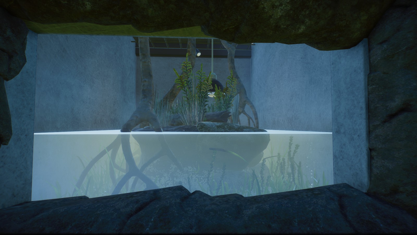 Diamondback Terapin Tank