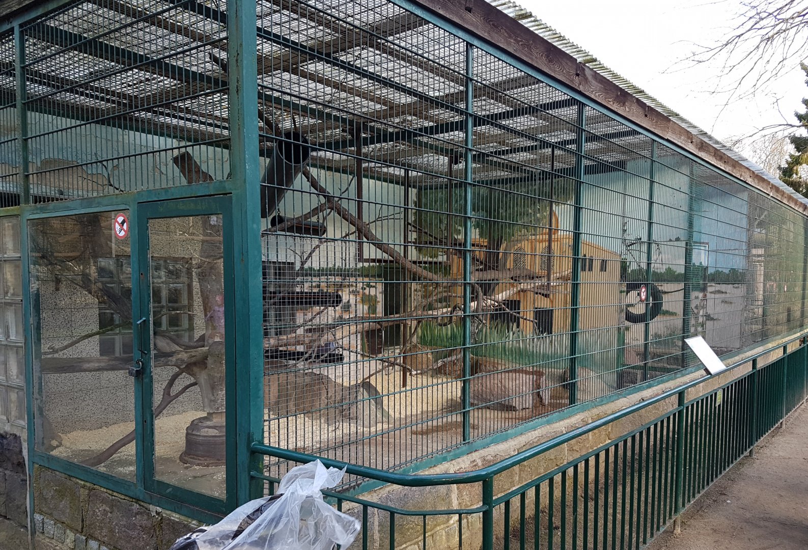 Diana monkey - Black mangabey-enclosures