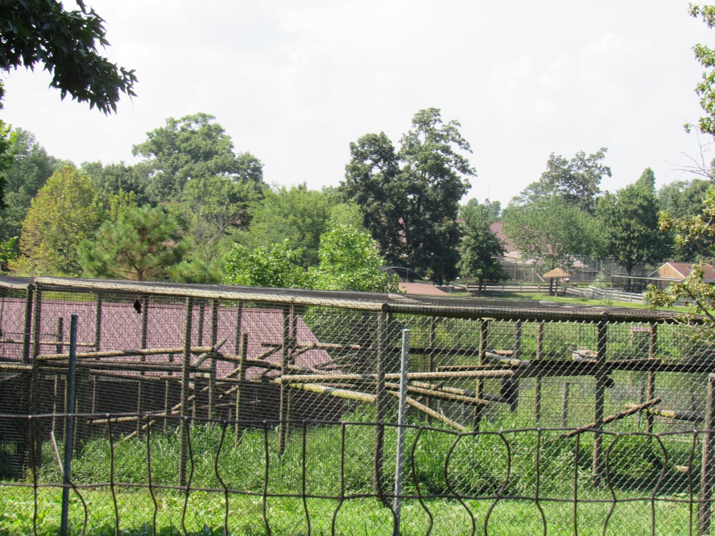 Diana Monkey Breeding Complex