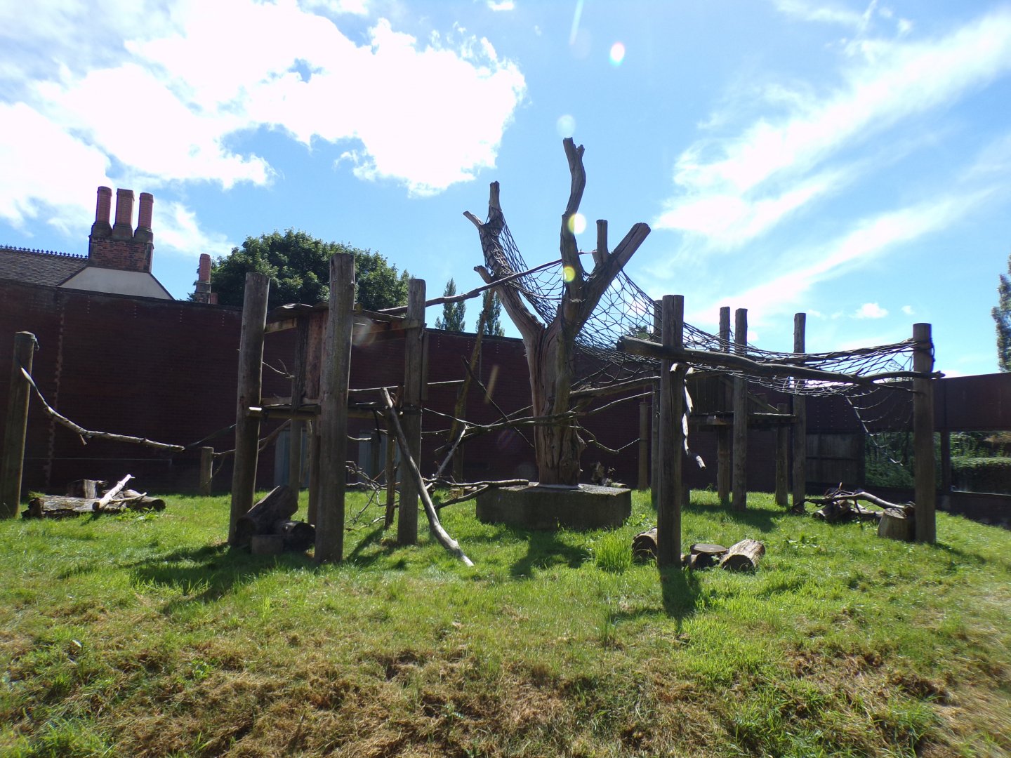 Diana monkey enclosure 7.7.24