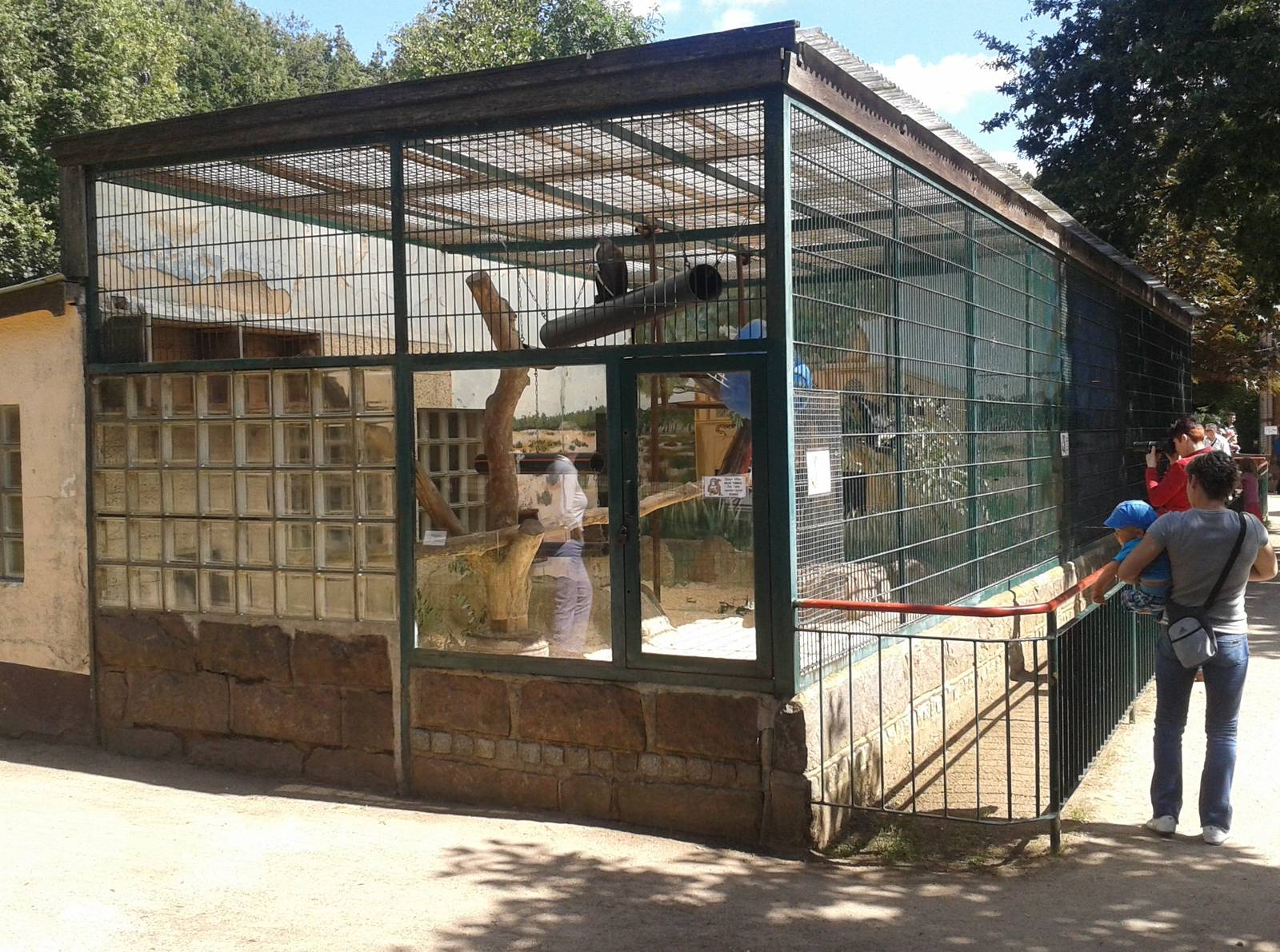 Diana monkey enclosure