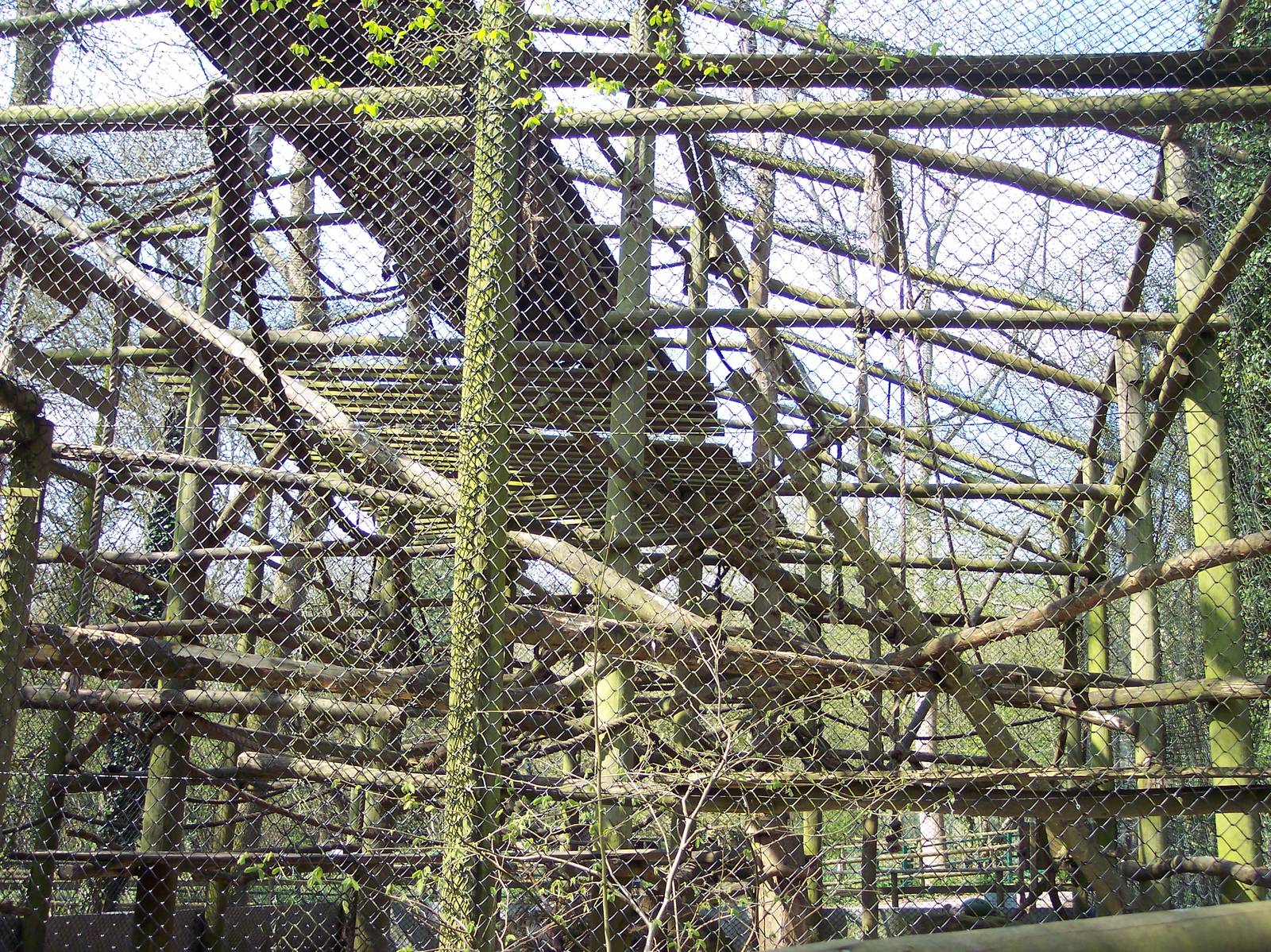 Diana Monkey Enclosure