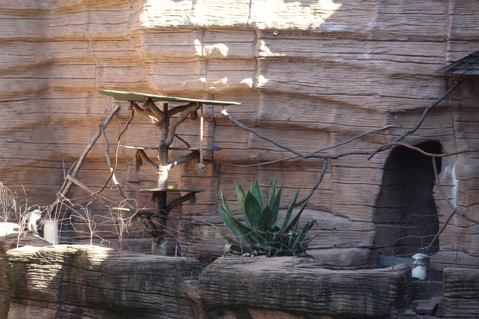 Diana Monkey Enclosure