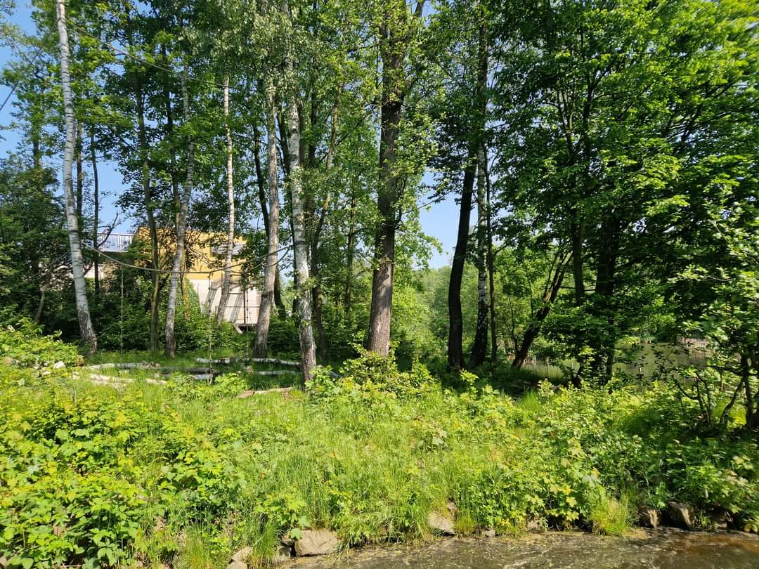 Diana Monkey exhibit, Pavilion of Evolution