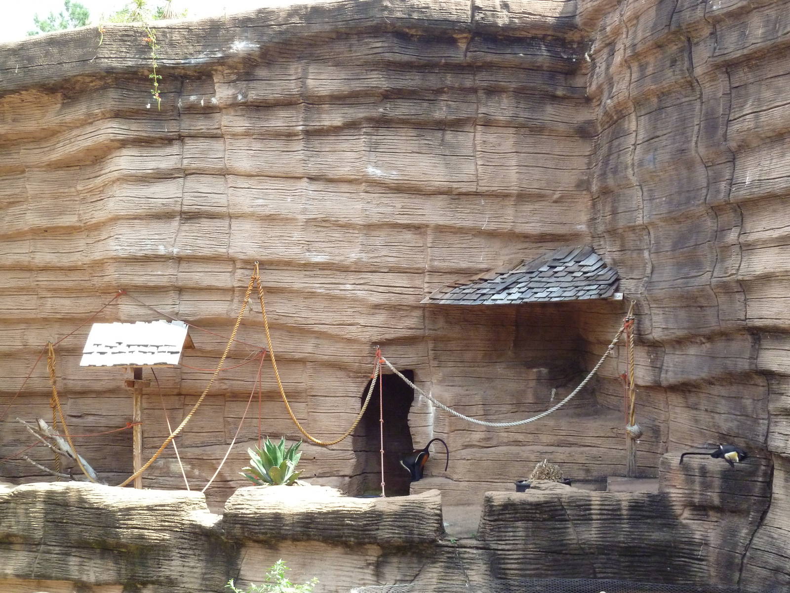 Diana Monkey Exhibit