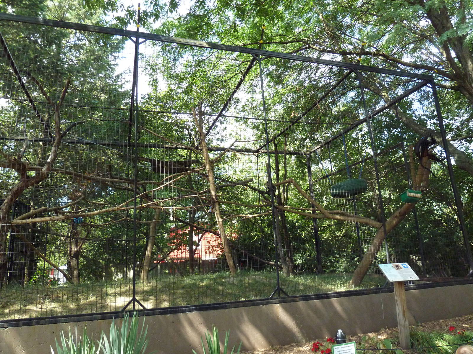 Diana Monkey Exhibit