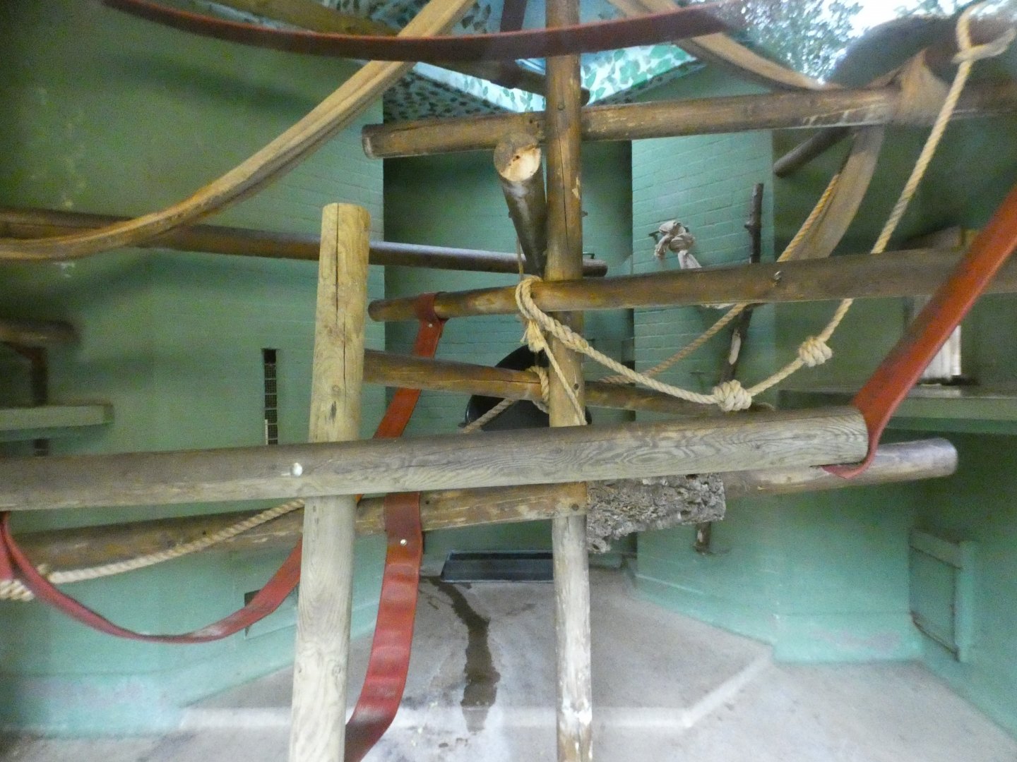 Diana monkey indoor enclosure
