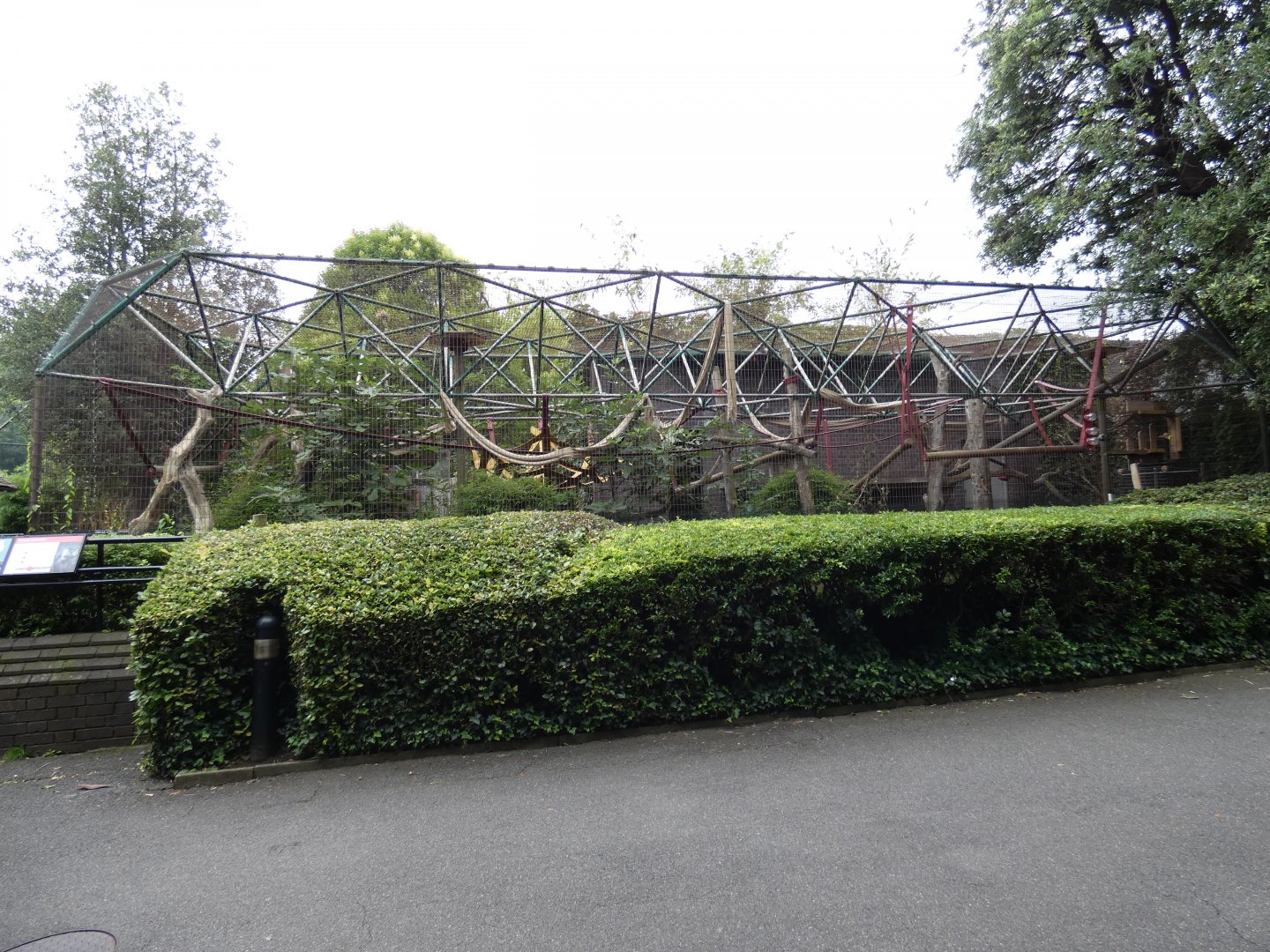 Diana monkey outdoor enclosure