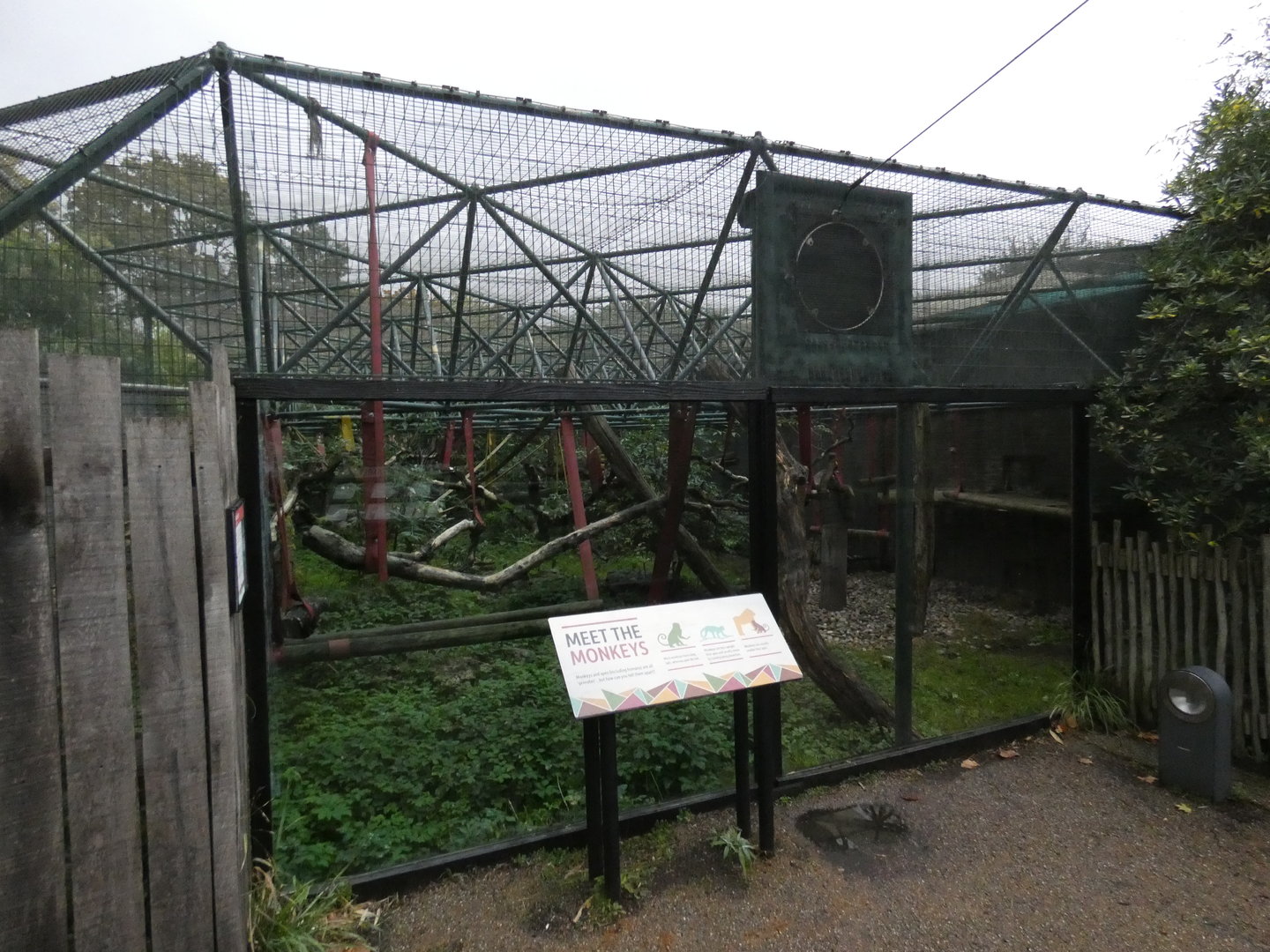 Diana monkey outdoor enclosure