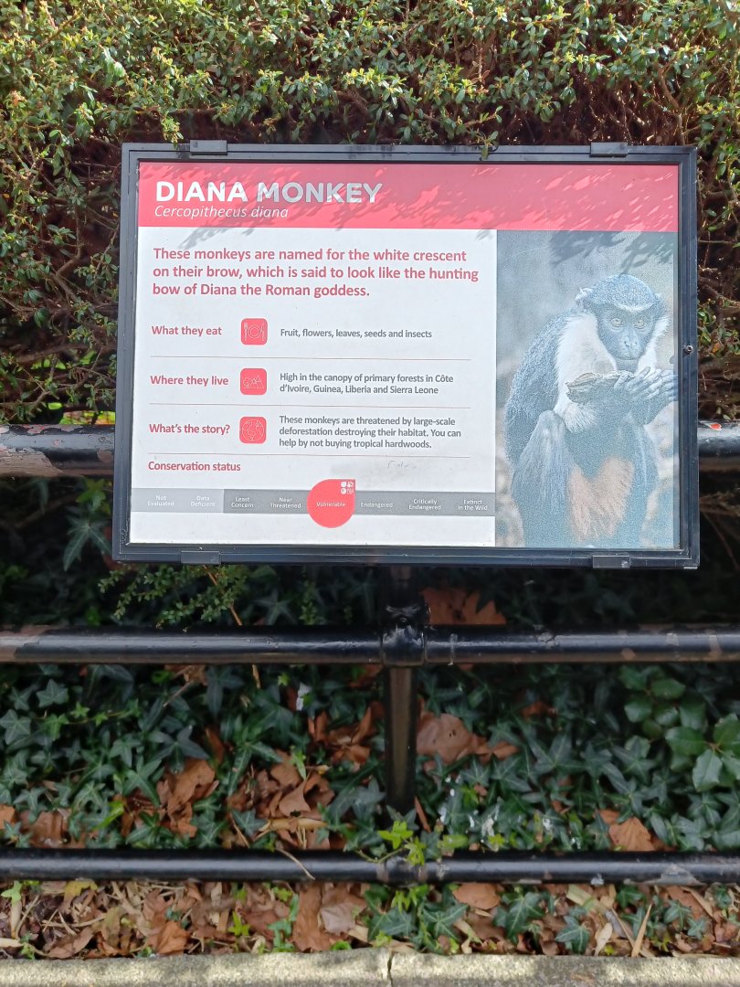 Diana Monkey signage at former macaque enclosure
