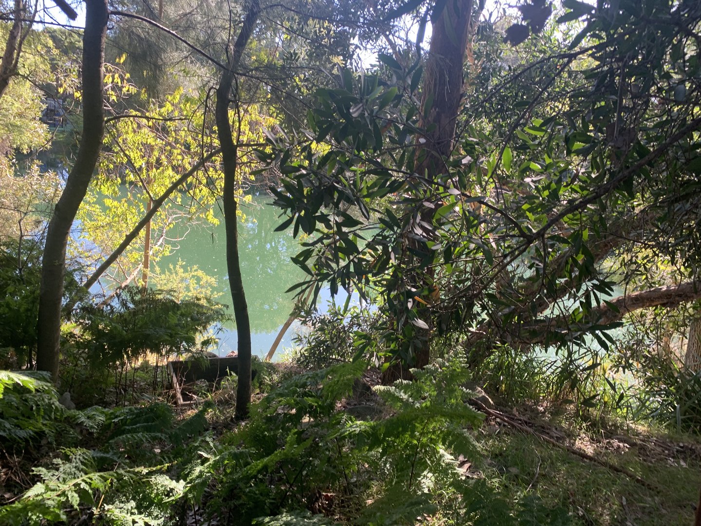 Dibble Avenue Waterhole, Marrivkville (Sydney)