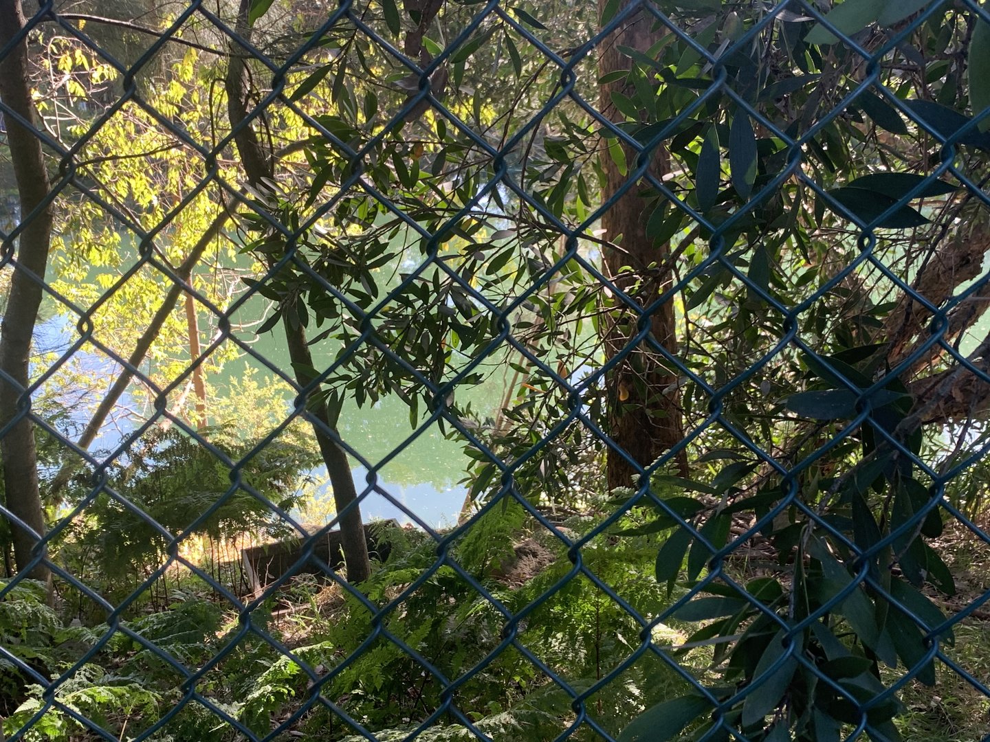 Dibble Avenue Waterhole, Marrivkville (Sydney)