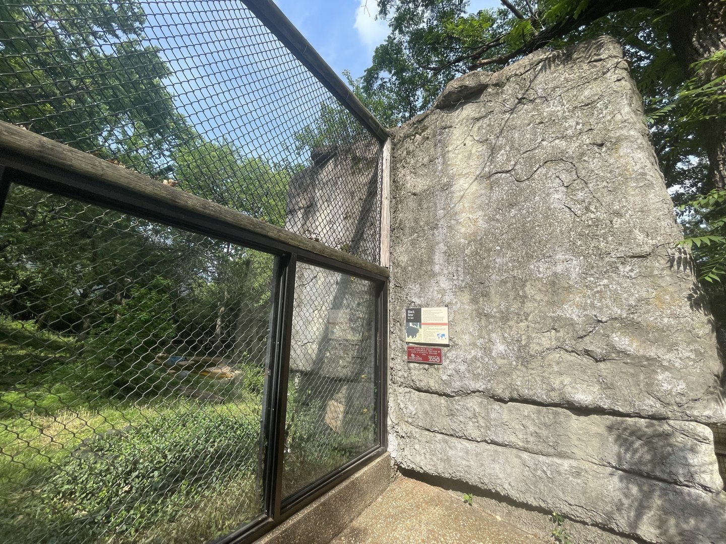 Dickerson Park Zoo-- Black Bear Viewing Gallery