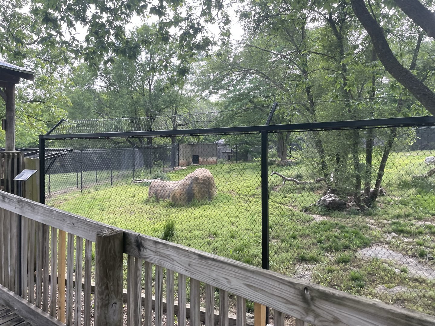 Dickerson Park Zoo-- Cheetah Enclosure