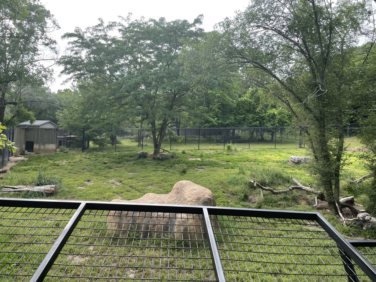 Dickerson Park Zoo-- Cheetah Enclosure