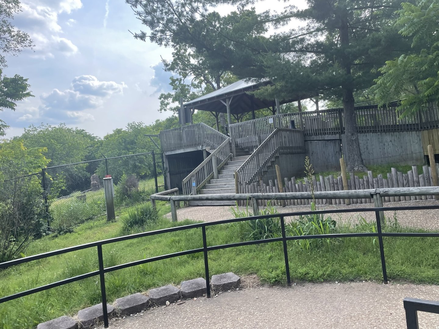 Dickerson Park Zoo-- Cheetah Viewing Platform