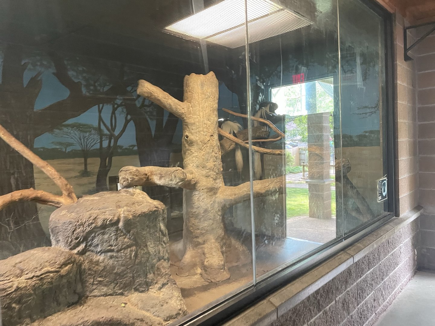 Dickerson Park Zoo-- Colobus Monkey Indoor Enclosure