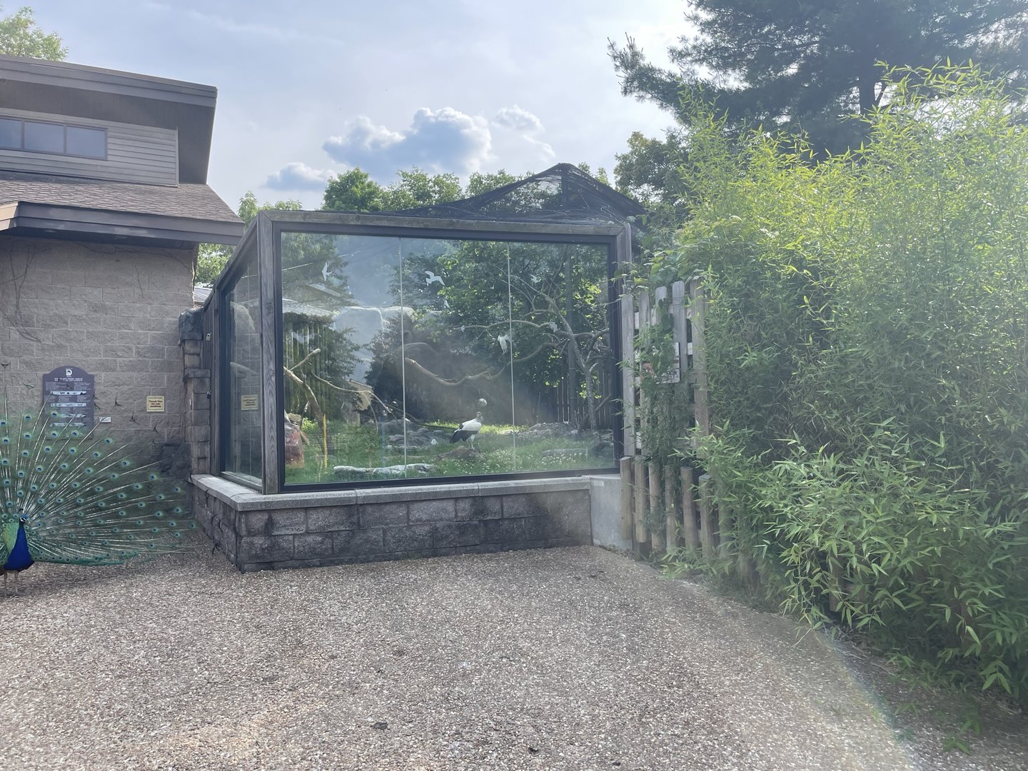 Dickerson Park Zoo-- King Vulture Enclosure
