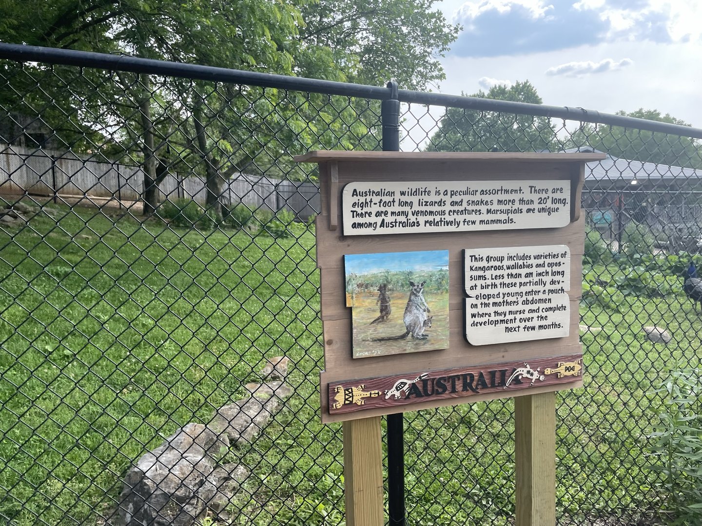 Dickerson Park Zoo-- Red Kangaroo Exhibit